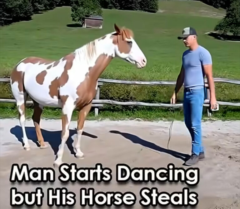 Dance Challenge Video Goes Viral When a Horse Steals the Spotlight