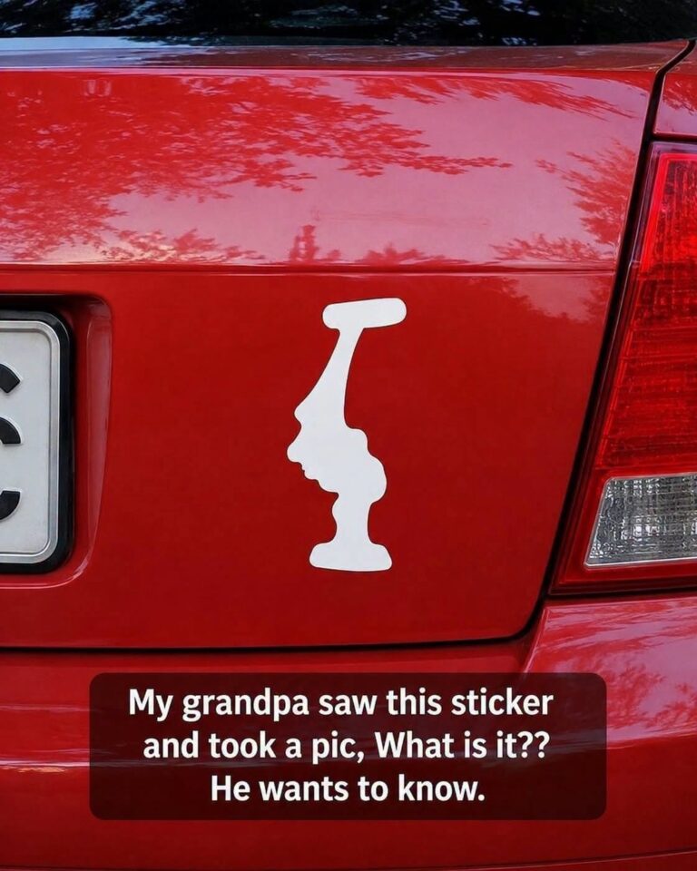 Grandpa Spots a Strange Sticker on a Car and Takes a Picture, but When He Asks What It Means the Internet's Answer Surprises Him