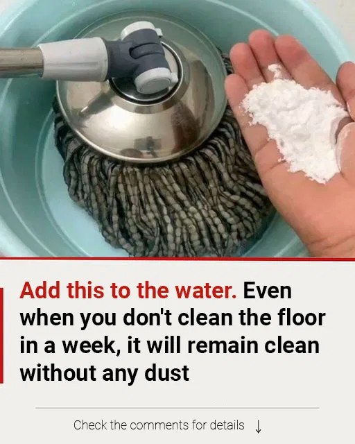 Simple Floor Cleaning Addition That Keeps Surfaces Dust-Free for Days