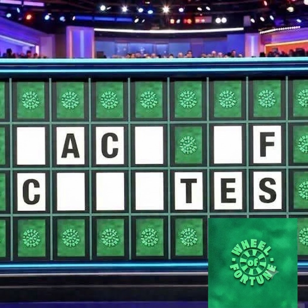 Wheel of Fortune Contestant Claims Historic $1 Million Prize in Jaw-Dropping Bonus Round