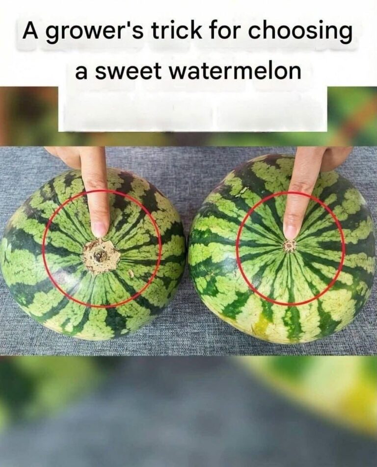 How to Pick a Perfectly Sweet Watermelon Every Time Without Guessing