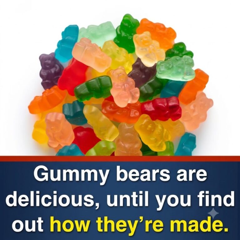 Gummy Bears and Gelatin: Why Some People Are Reconsidering Their Favorite Childhood Candy