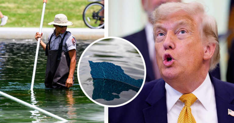 Charges Dropped Against Olympian Arrested for Touching the Reflecting Pool