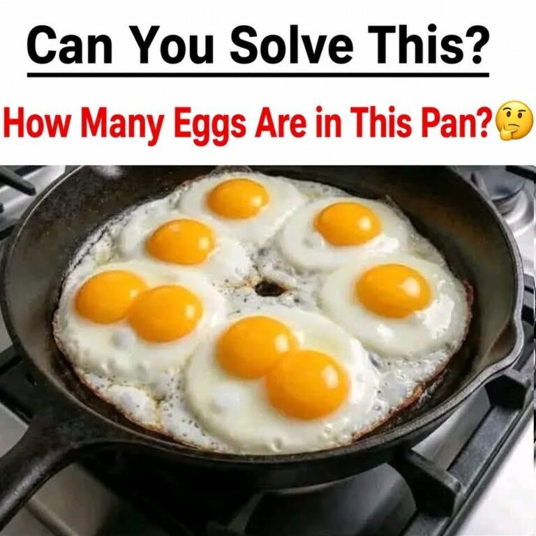 How Many Eggs Are in This Pan?