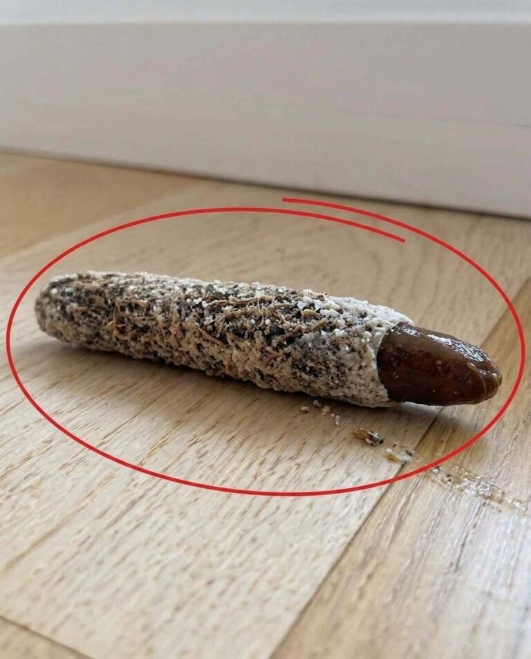 Mysterious Tube Found on the Floor Turns Out to Be a Tiny Creature's Mobile Home