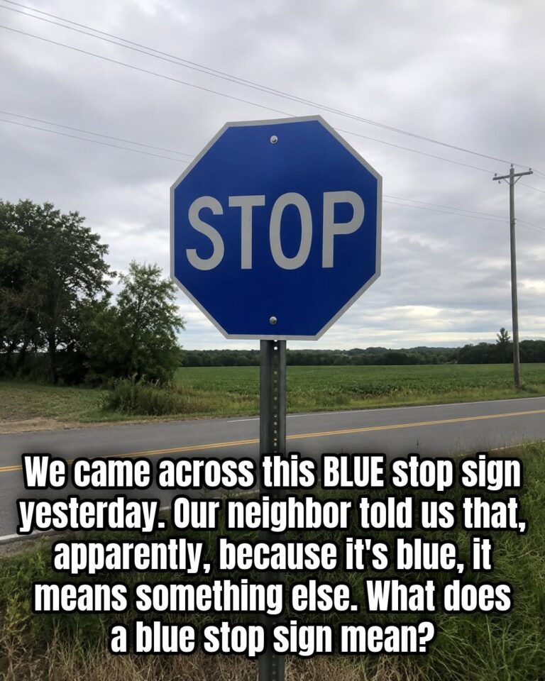 The Meaning Behind a Blue Stop Sign