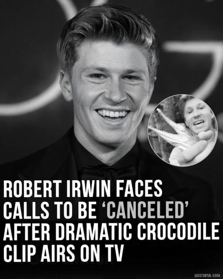 Robert Irwin's Quick Reaction During Crocodile Feeding Sparks Online Debate