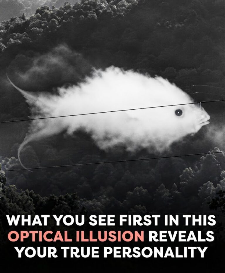 Viral Optical Illusion Sparks Personality Debate Online