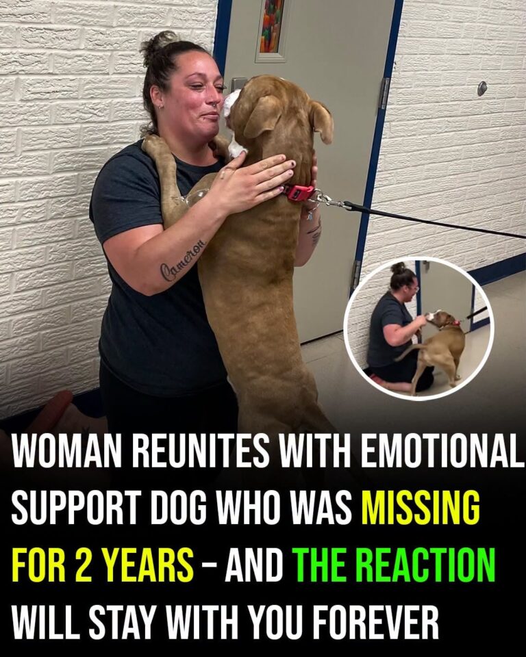 Woman Reunited With Emotional Support Dog After Two-Year Separation