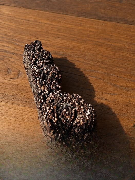 The Unexpected Object Found in a Child’s Bedroom and Its Ordinary Explanation